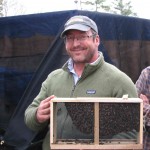 A beautiful package of bees!