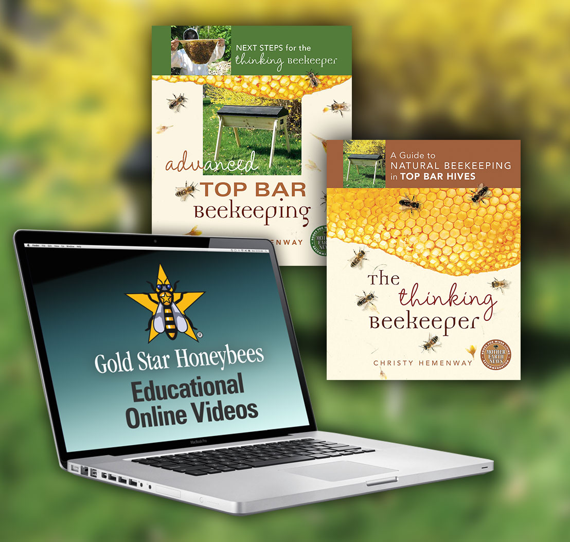 7-thinking-beekeeper-series.png