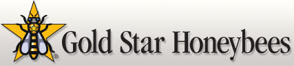 Gold Star Honeybees